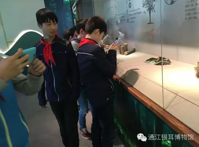 图片15.png